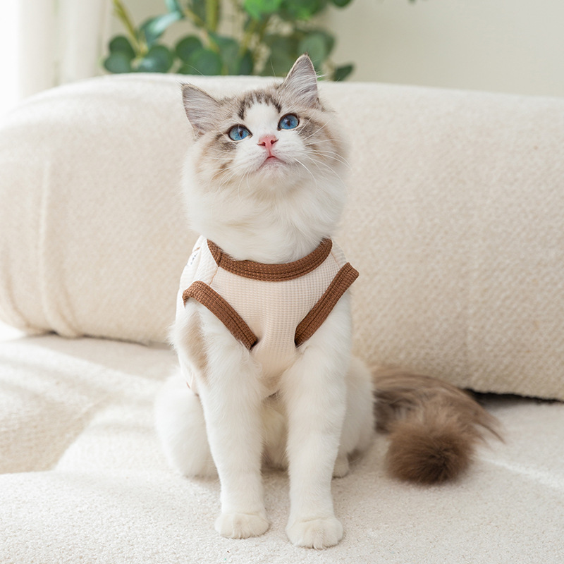 Cute Cat Teddy Bear Harness Thin Breathable Dress