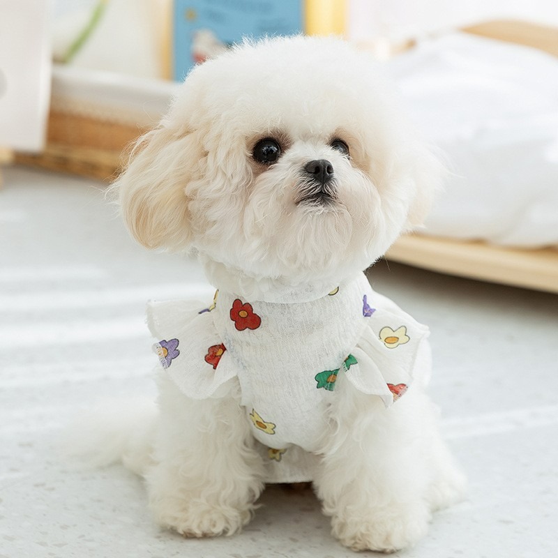 Pet Floral Flutter Sleeve Dress