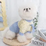 Pet Summer Fresh Floral Print Strapless Two piece Dress