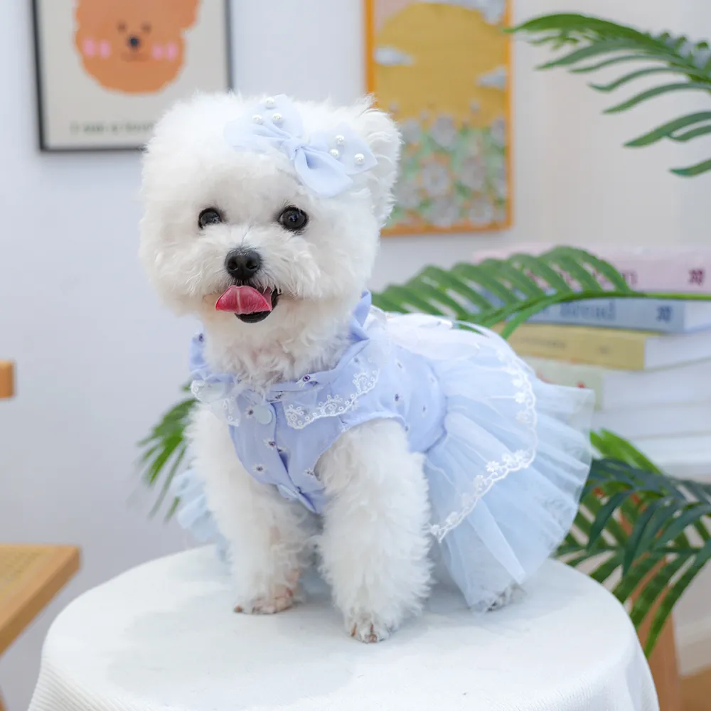 Pet Blue Tulle Dress with Butterfly Hairpin Set