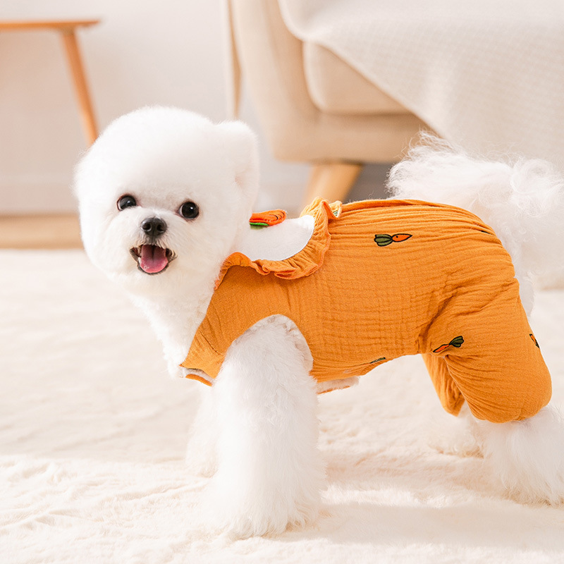 Cute pet winter carrot-themed cotton coat