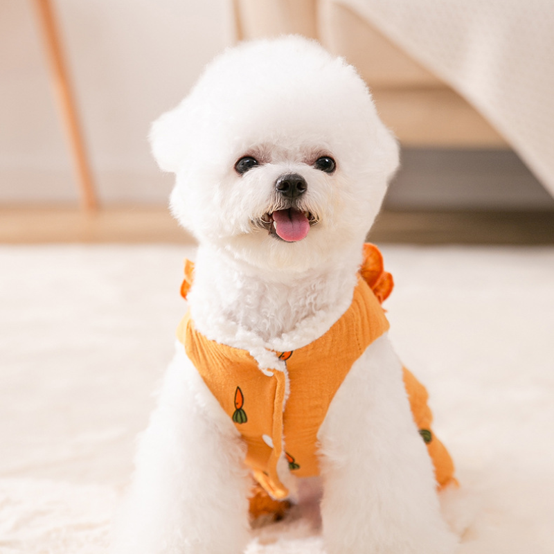 Cute pet winter carrot-themed cotton coat
