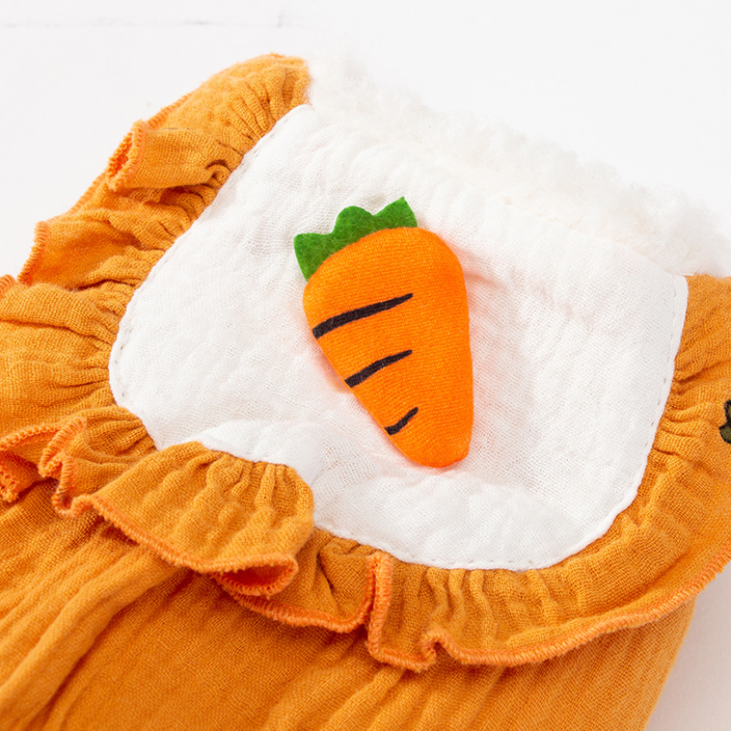 Cute pet winter carrot-themed cotton coat
