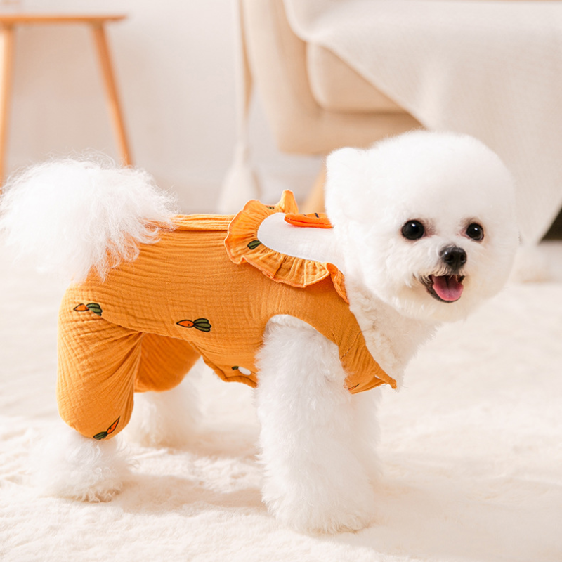 Cute pet winter carrot-themed cotton coat