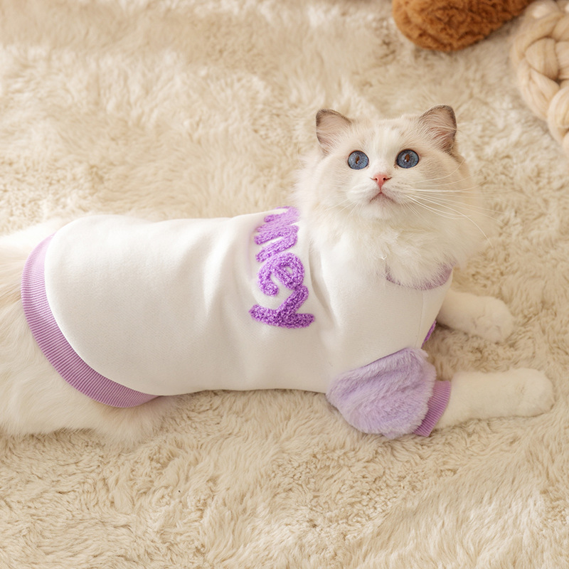 Autumn Dopamine Pet Sweatshirt