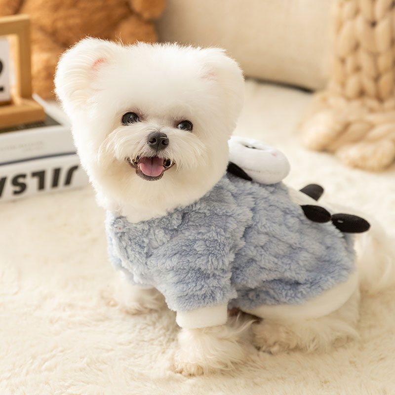Cute Cartoon Pocket Pet Coat with Leash