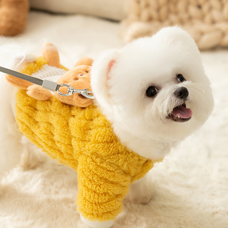 Cute Cartoon Pocket Pet Coat with Leash