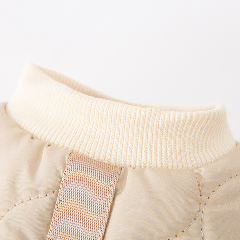 Cute Bear Traction Two legged Cotton Pet Coat