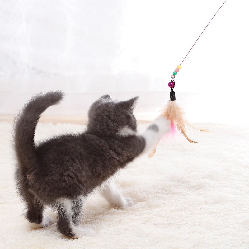 Bicolor Feather Bell Cat Wand