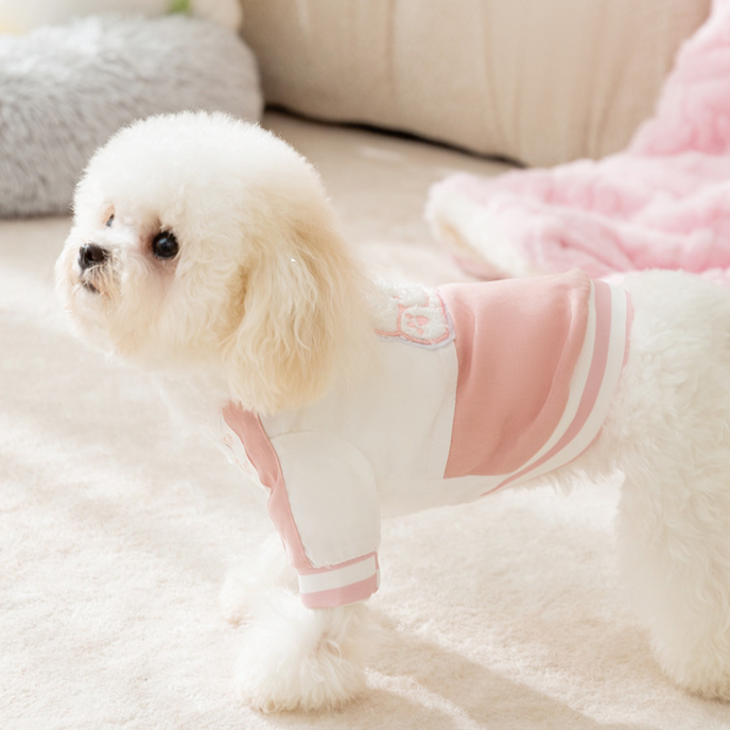 Warm Bear style Baseball Pet Leash Garment