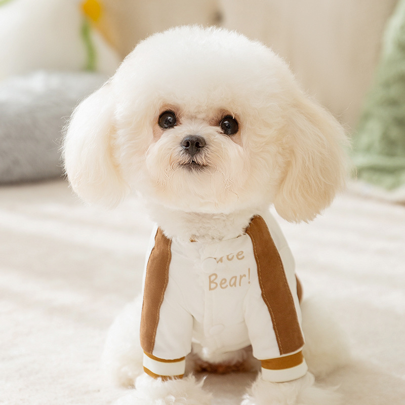 Warm Bear style Baseball Pet Leash Garment
