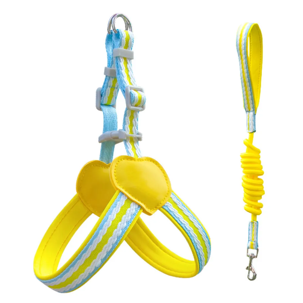 Pet Adjustable Chest Harness Leash Set