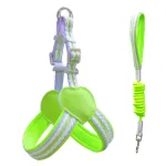 Pet Adjustable Chest Harness Leash Set