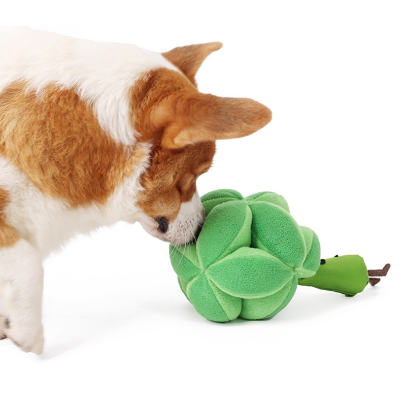 Dog IQ Treat Dispensing Broccoli Toy
