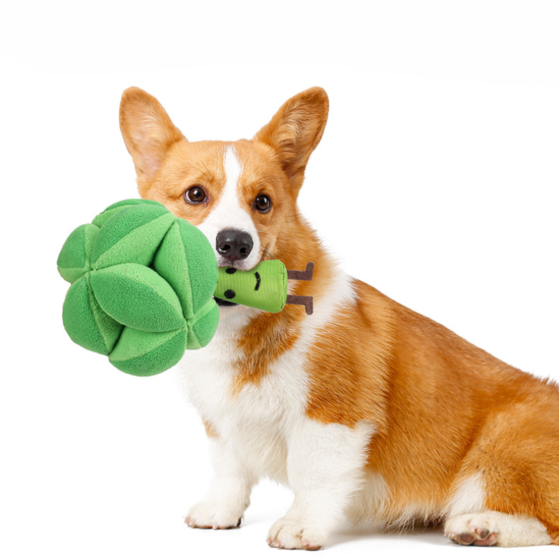 Dog IQ Treat Dispensing Broccoli Toy