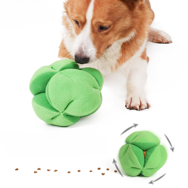 Dog IQ Treat Dispensing Broccoli Toy