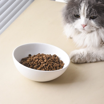 Sloped Ceramic Pet Bowl for Comfortable Feeding 02