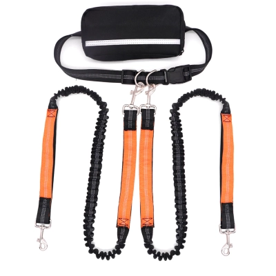 Multifunctional Antishock Pet Leash 01