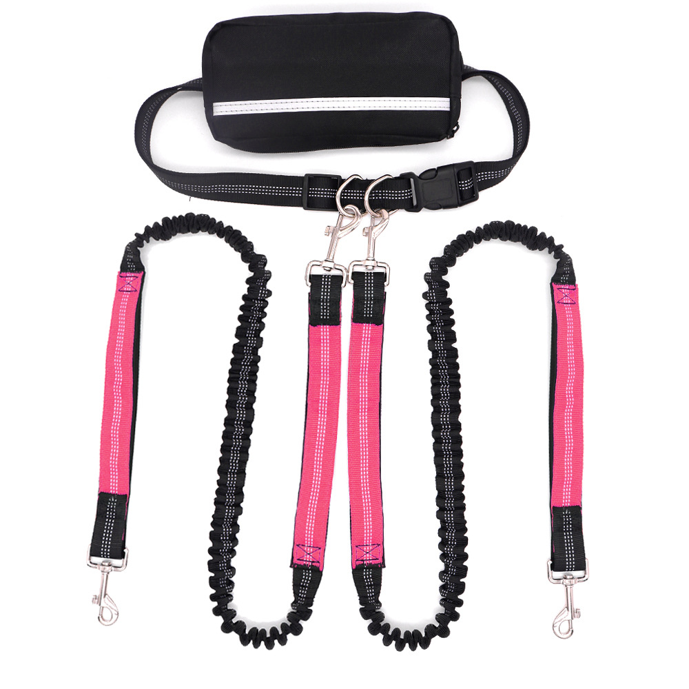 Multifunctional Antishock Pet Leash