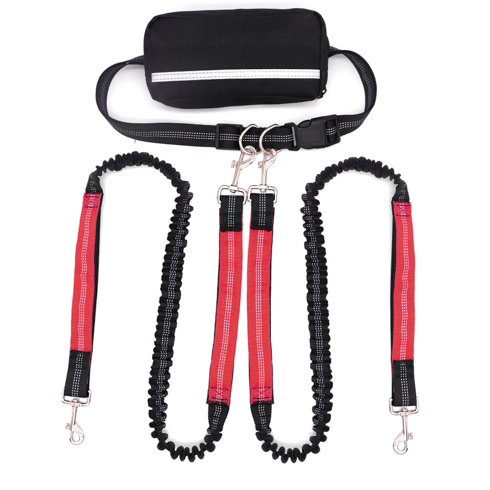 Multifunctional Antishock Pet Leash