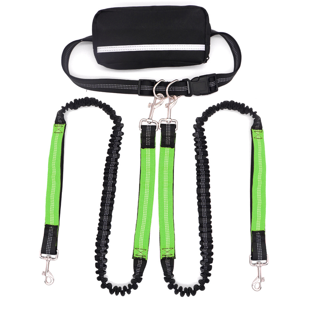 Multifunctional Antishock Pet Leash