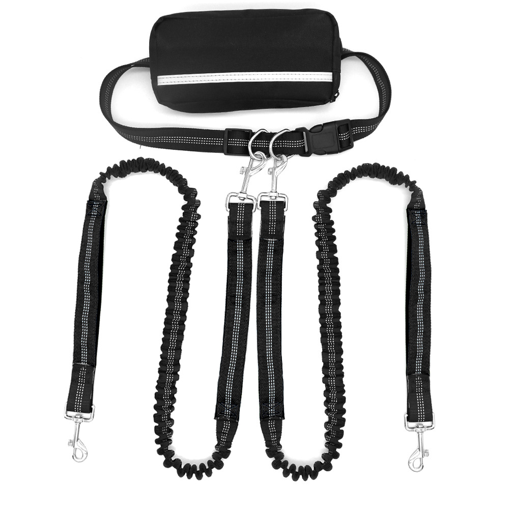 Multifunctional Antishock Pet Leash