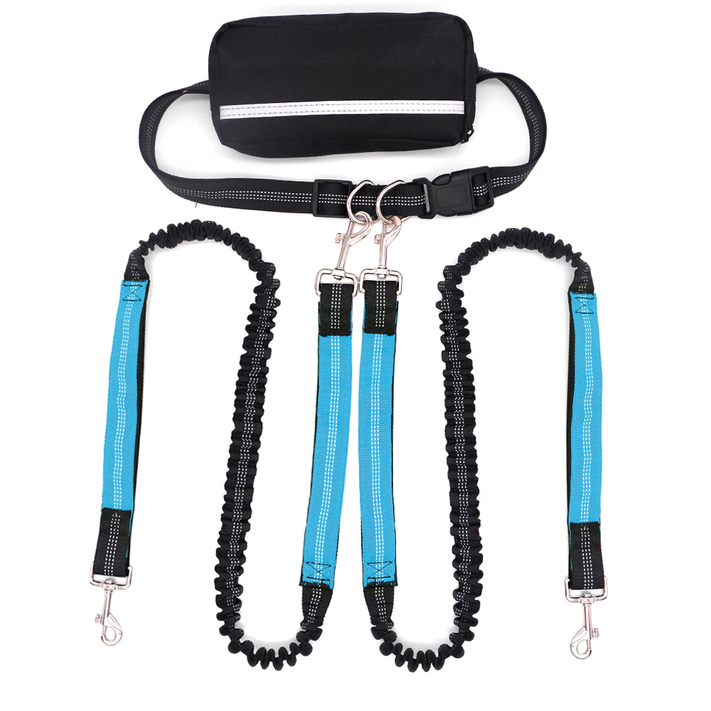 Multifunctional Antishock Pet Leash