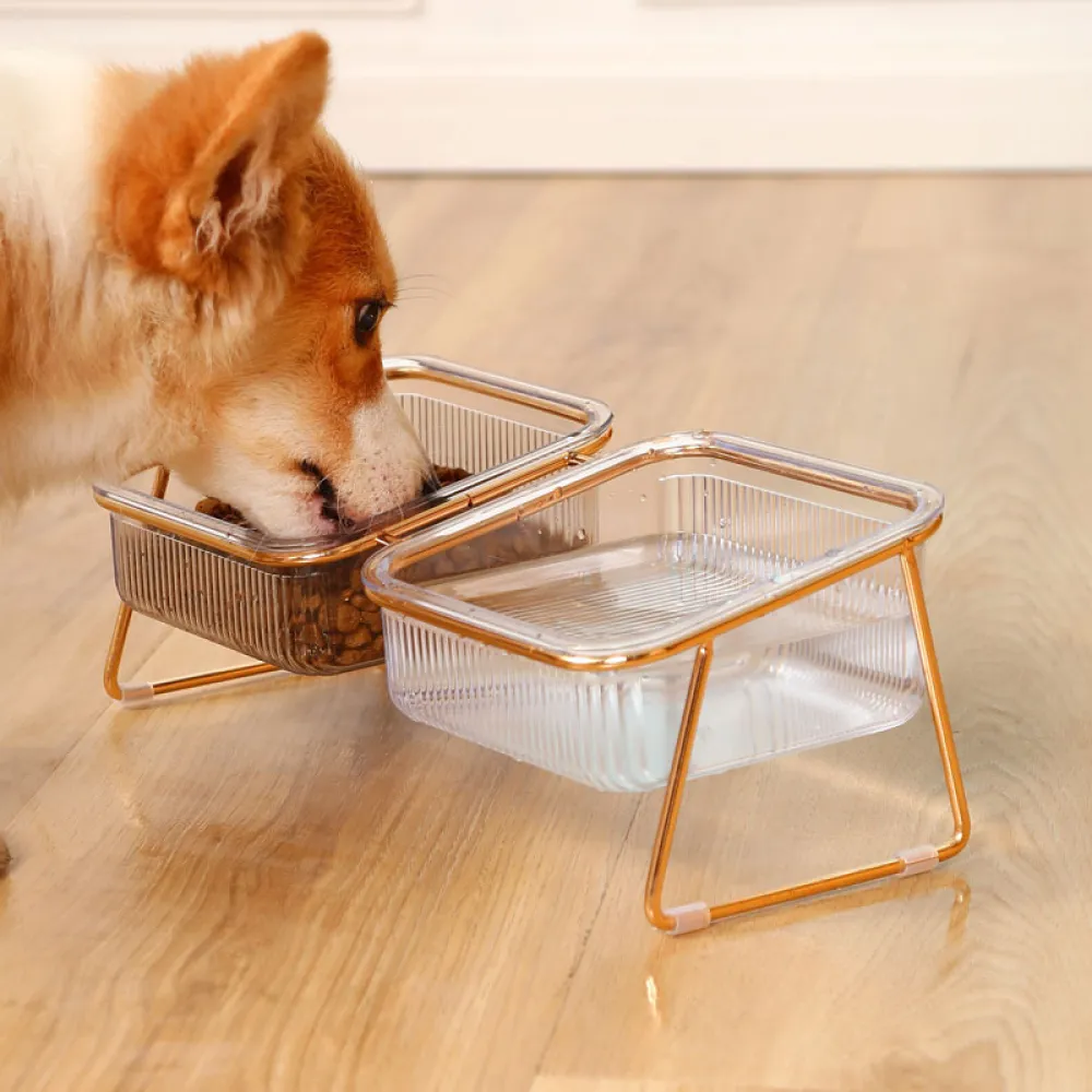 Iron Separated Double and Single Bowl