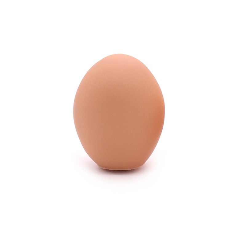Dog Squeaky Egg Toy