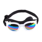 Six color Optional Pet Windproof Sunglasses