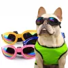 Six color Optional Pet Windproof Sunglasses