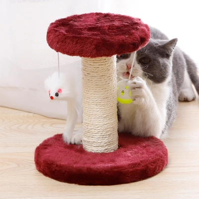 Cat Scratching Post 02