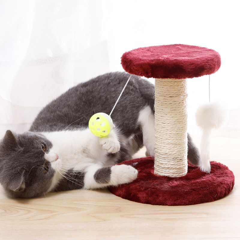 Cat Scratching Post