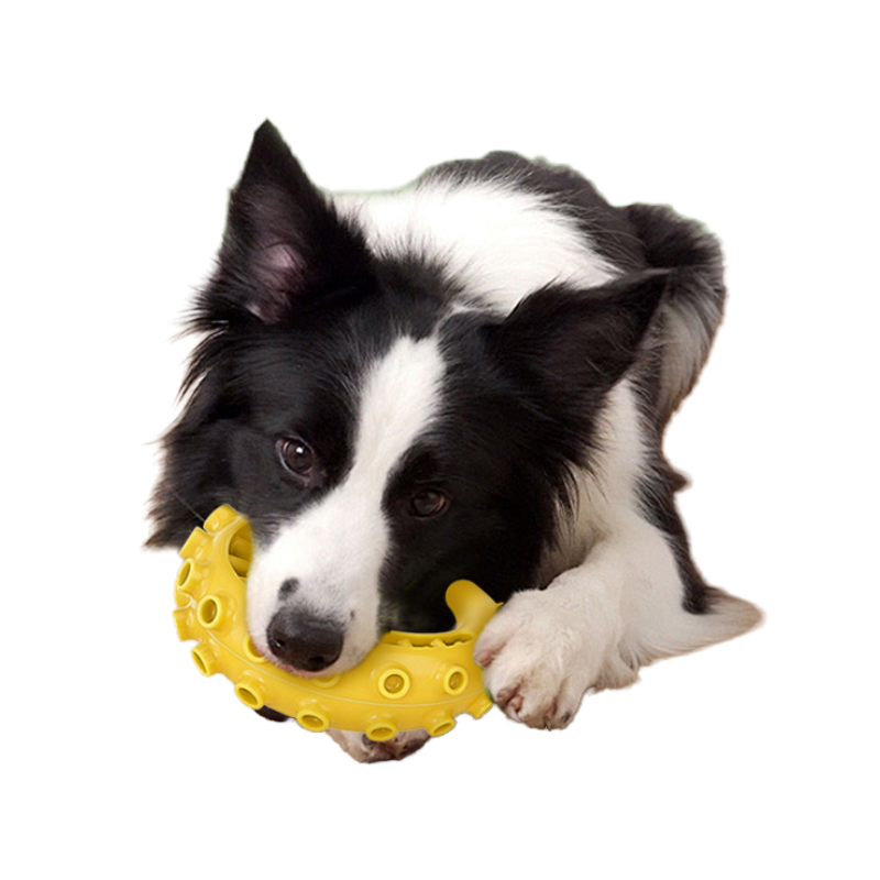 TPR Leaky Dog Toy