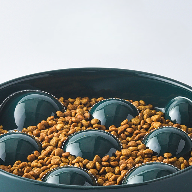 Ceramic Slow Feeder Bowl