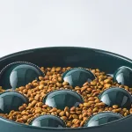 Ceramic Slow Feeder Bowl