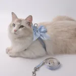 Bow Cat Harness Set