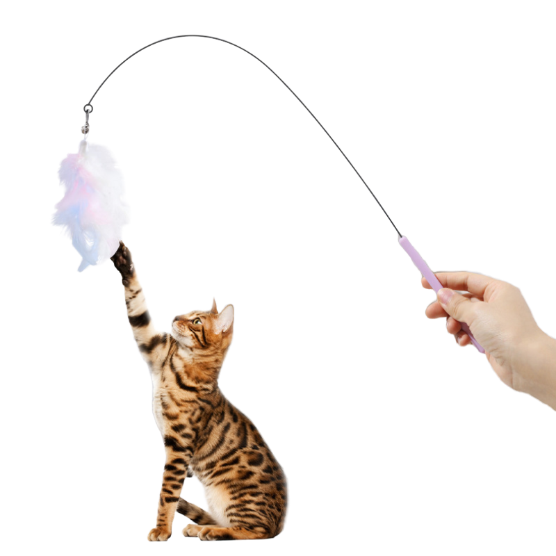 Cat Teaser Wand Toy