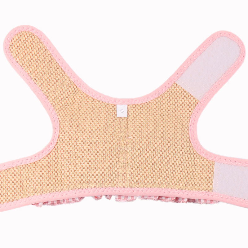 Fruit Pet Fashion Harness