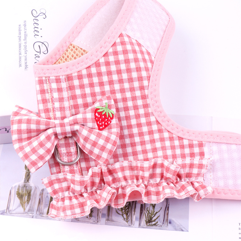 Fruit Pet Fashion Harness