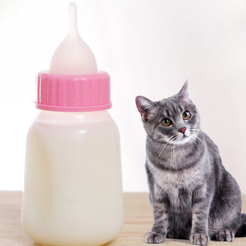Pet Anti Spill Feeding Bottle