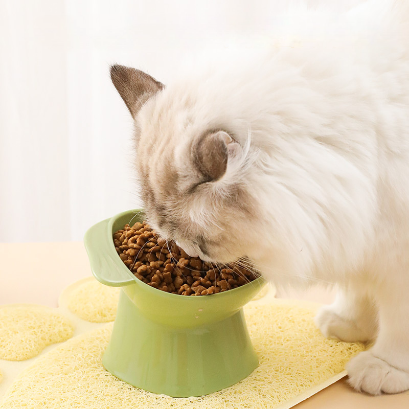 Pet Bowls Safe PP Plastic Colors