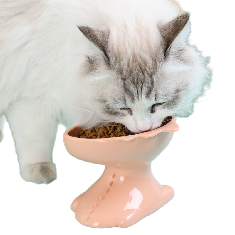 Pet Dinosaur Footed Bowls Set