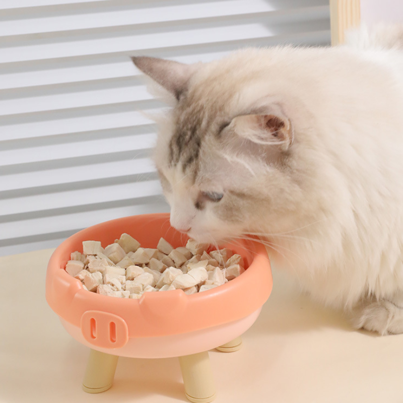 Pig Nose Pet Bowls Set