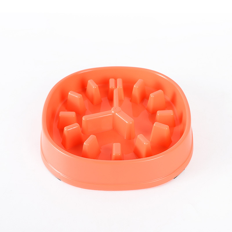 Pet Slow Feeder Clock Bowl