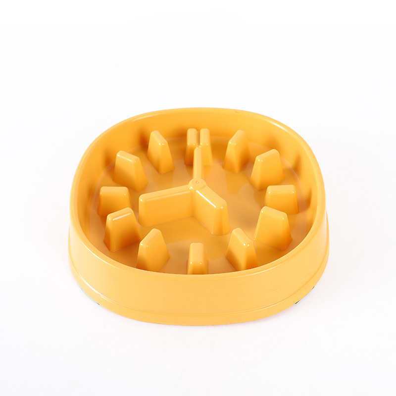 Pet Slow Feeder Clock Bowl