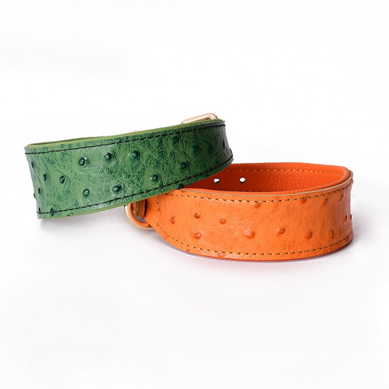 Ostrich Grain Leather Dog Collar