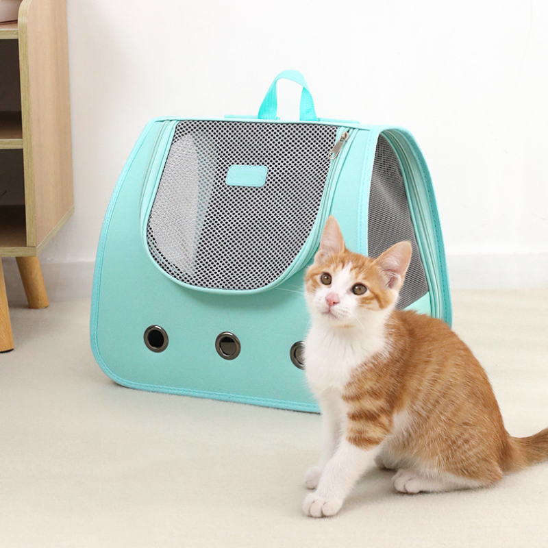 Foldable Mesh Cat Carrier Backpack