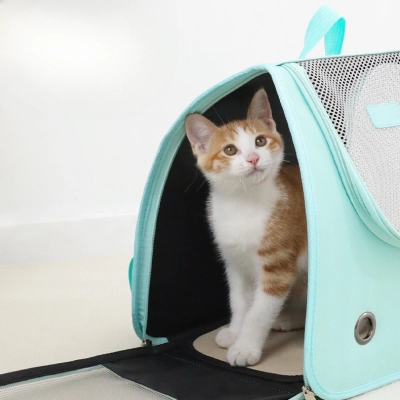 Foldable Mesh Cat Carrier Backpack 02