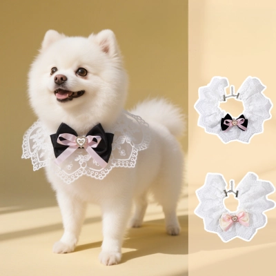 Lace Pet Bib Collar Set 01